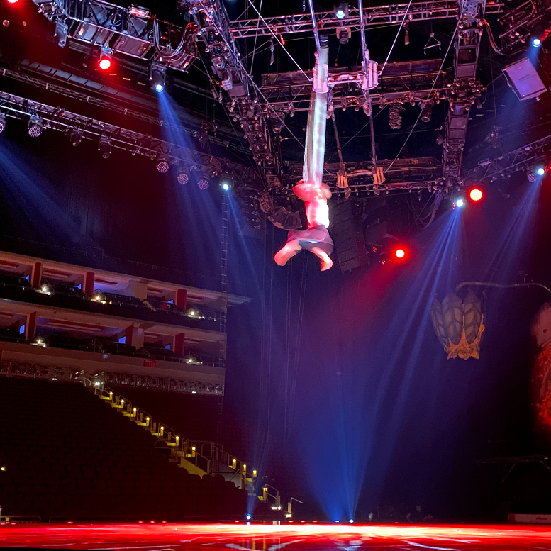 Cirque Du Soleil performance